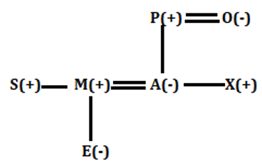 RBI Assistant Prelims Reasoning Daily Mock 30 January 2020: Blood Relation |_10.1