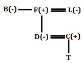 RBI Assistant Prelims Reasoning Mini Mock-2: Puzzle and Blood Relation |_5.1