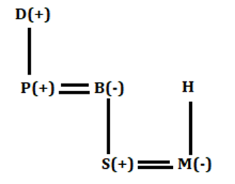 SBI Clerk Prelims Reasoning Mini Mock-6: Puzzle, Blood Relation and Miscellaneous |_7.1