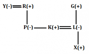 Reasoning Quiz for IBPS PO 2020, 10th August – Blood Relation |_6.1