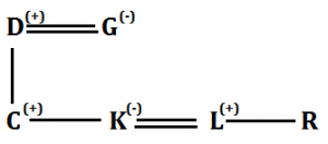 Reasoning Quiz for IBPS RRB 2020, 19th August- Blood Relation |_7.1