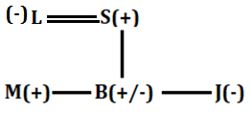 Reasoning Ability Quiz For SBI Clerk Prelims 2022- 24th September_4.1