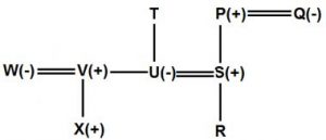 Reasoning Ability Quiz For FCI Phase I 2022- 26th September_4.1