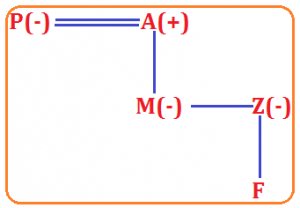 Reasoning Ability Quiz For SBI PO Prelims 2022- 3rd December_6.1