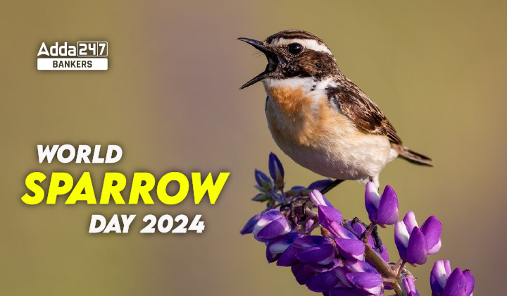 World Sparrow Day 2024