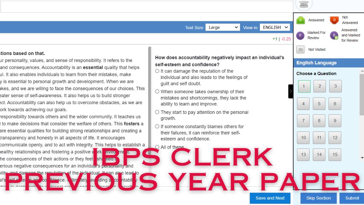 IBPS Clerk Previous Year Paper