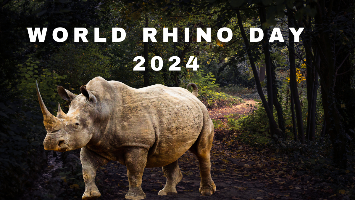 World Rhino Day 2024