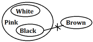 Syllogism Questions for SBI PO Exam_28.1