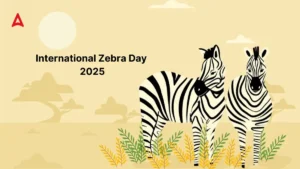 International Zebra Day 2025