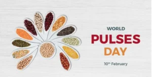 World Pulses Day 2025